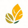 JAMU234 logo